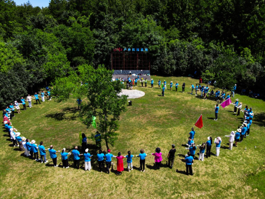 1691215469155101.png image.png